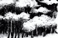 Sketch: Bob Ross and the Gloomy Trees